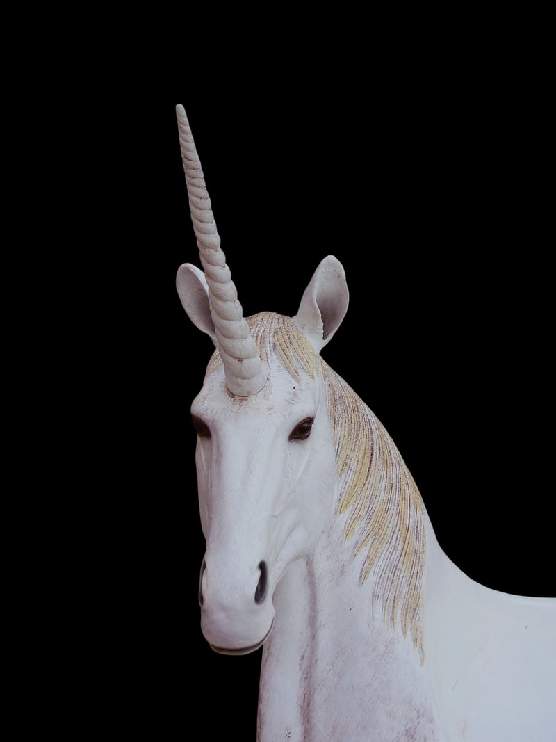 Unicorn-Inspired Crafts